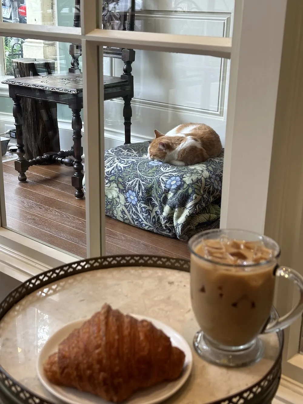 A Sanctuary Cafe cat cafe in Boston - cats