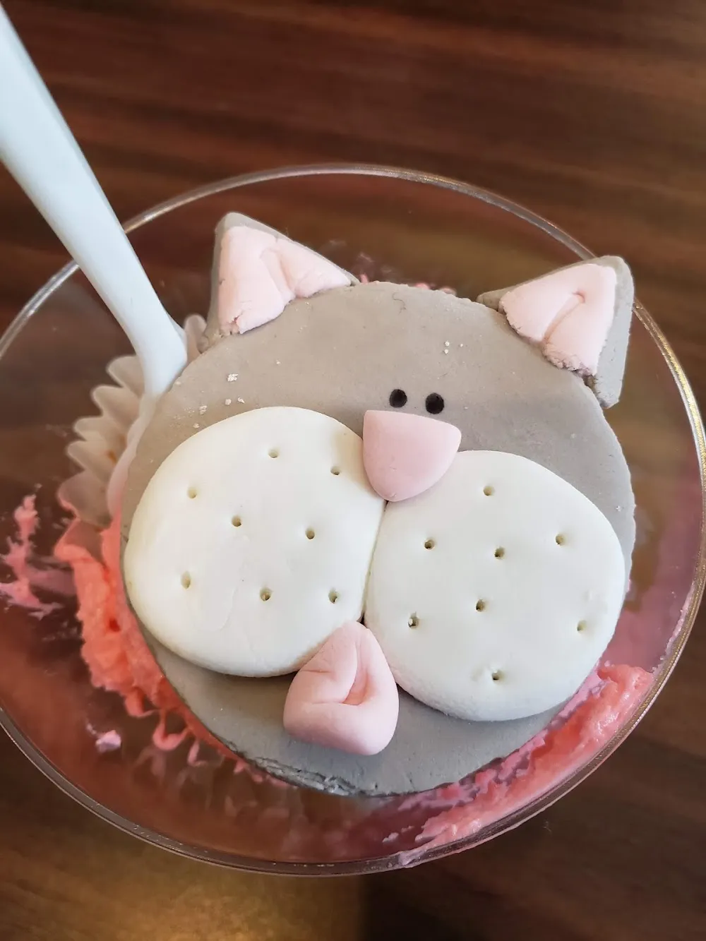 affoGATO Cat Cafe cat cafe in Cleveland - cats