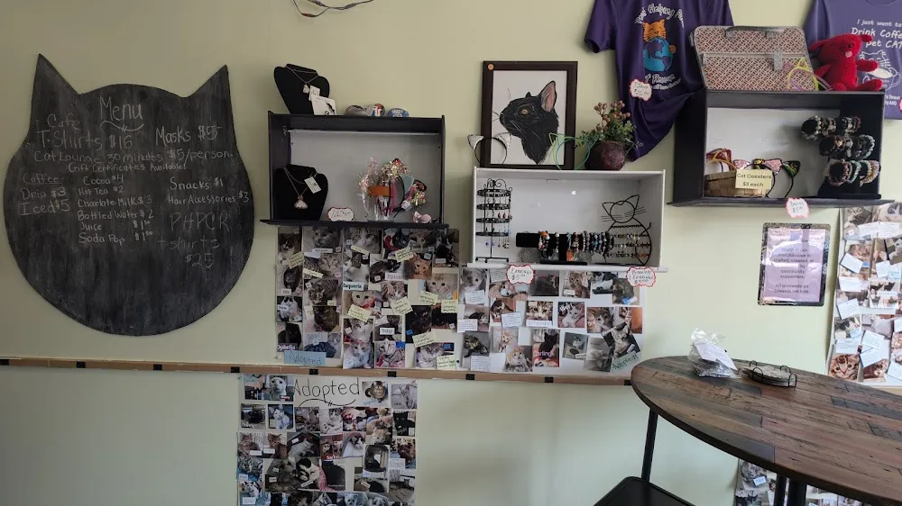 Baristocats Cat Cafe cat cafe in Jefferson City - cats