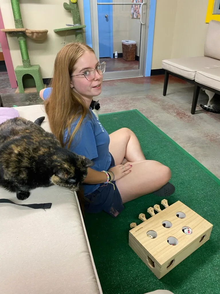 Beans and Whiskers LLC cat cafe in Harrison - atmosphere