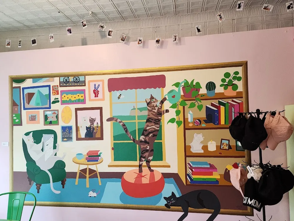 Beans Cat Cafe - cat cafe in New Paltz
