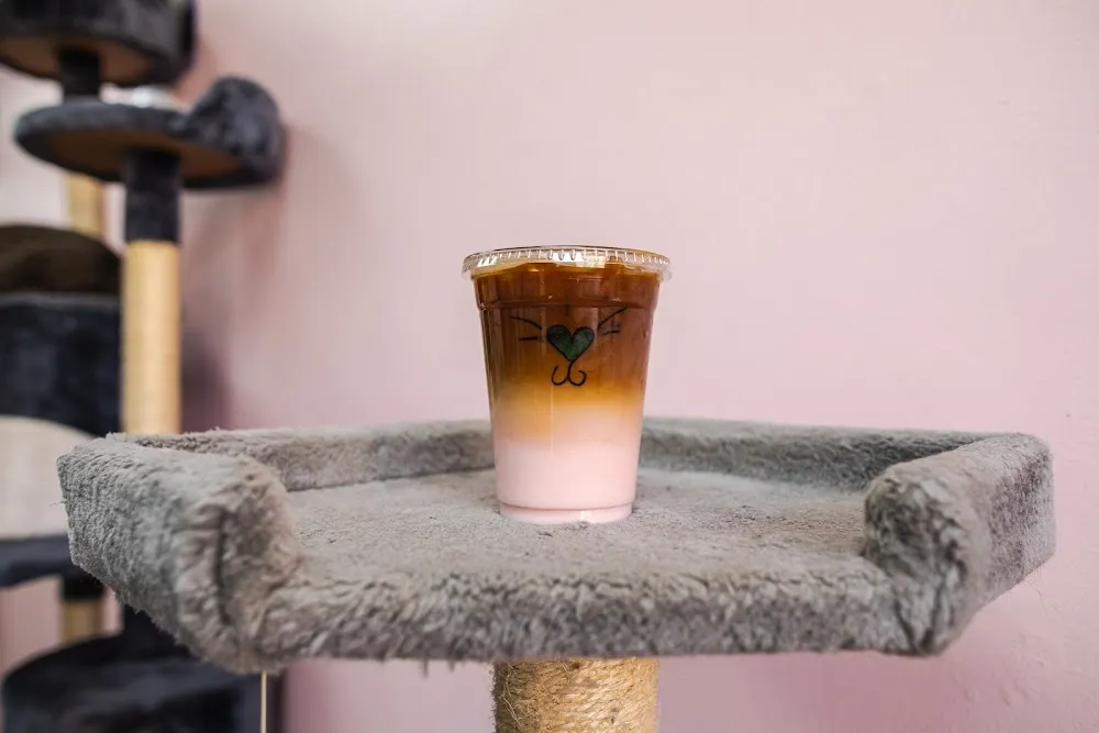 Beans Cat Cafe - cat cafe in Beacon