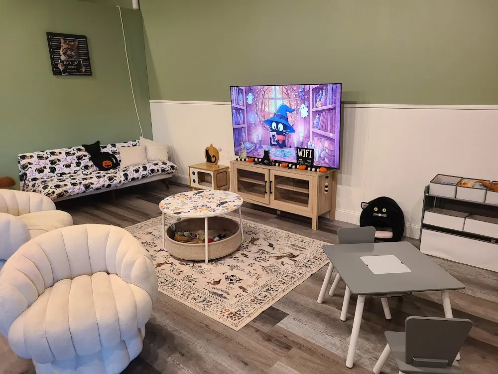 Black Cat Lounge cat cafe in Sevierville - atmosphere