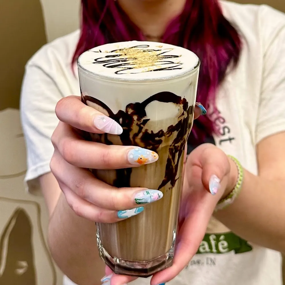 Black Forest Cat Café cat cafe in Fort Wayne - cats