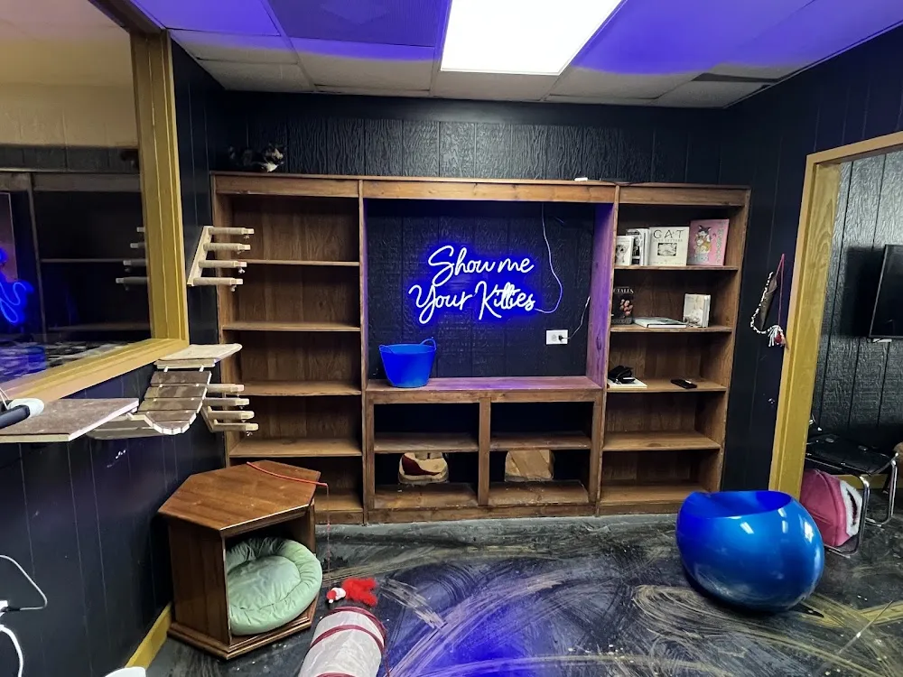 Brews and Mews Cat Cafe cat cafe in Lenoir - atmosphere