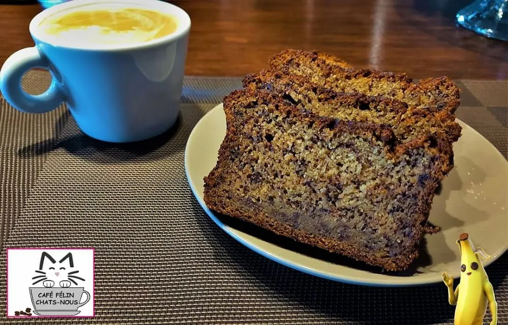 Café Félin Chats-Nous cat cafe in Québec - cats