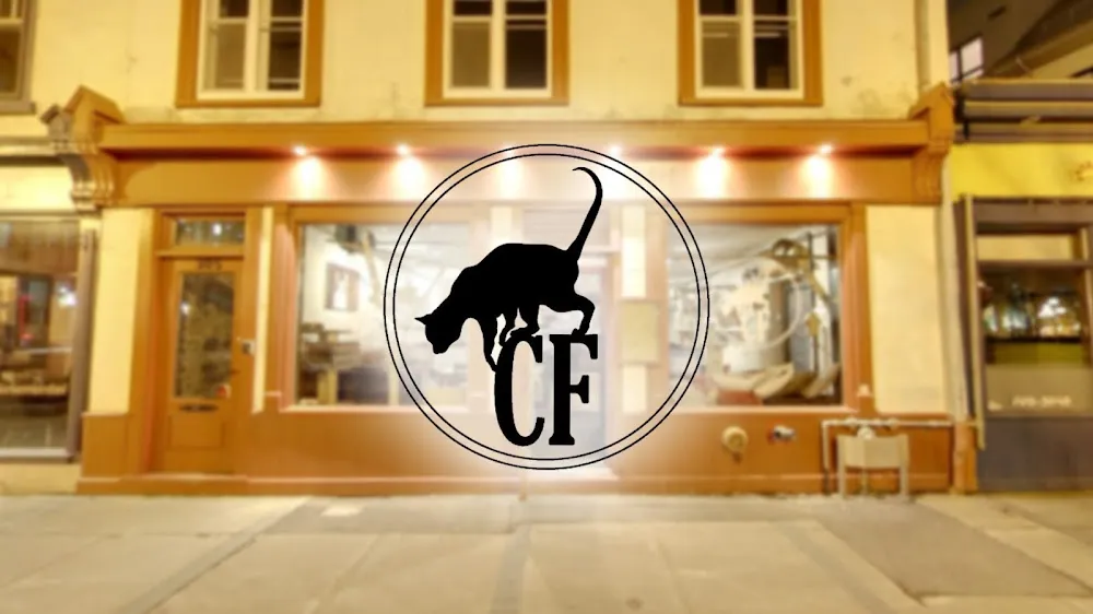 Café Félin Ma Langue Aux Chats cat cafe in Québec - atmosphere