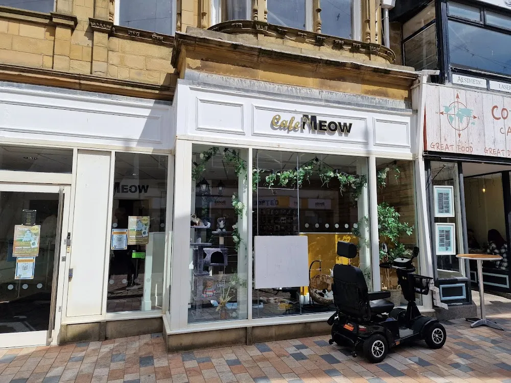 Cafe Meow cat cafe in Blackpool - interior