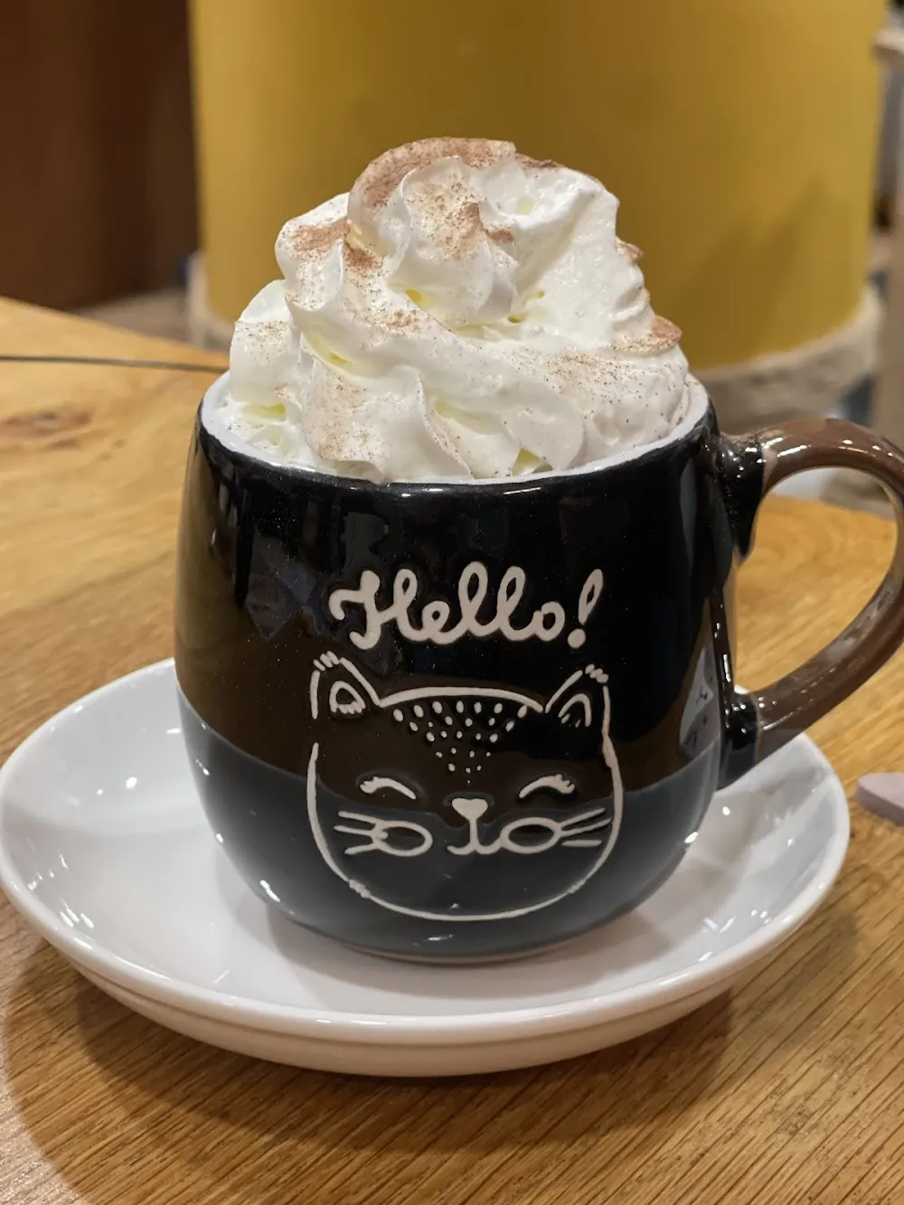 Cafe Meow cat cafe in Blackpool - cats