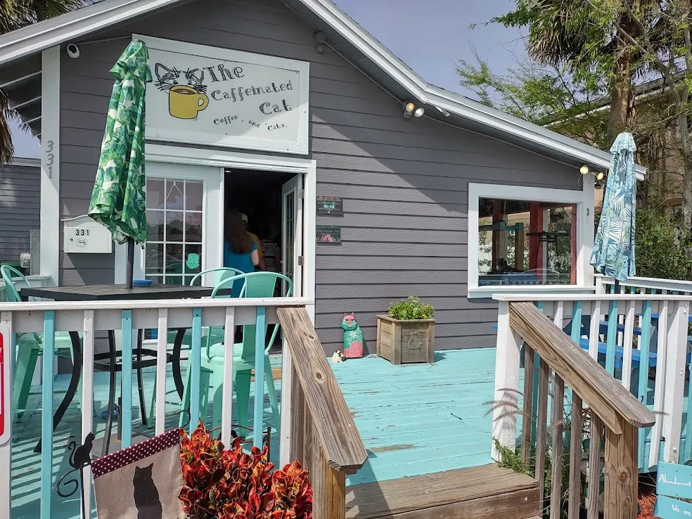 Caffeinated Cat cat cafe in Jacksonville Beach - atmosphere