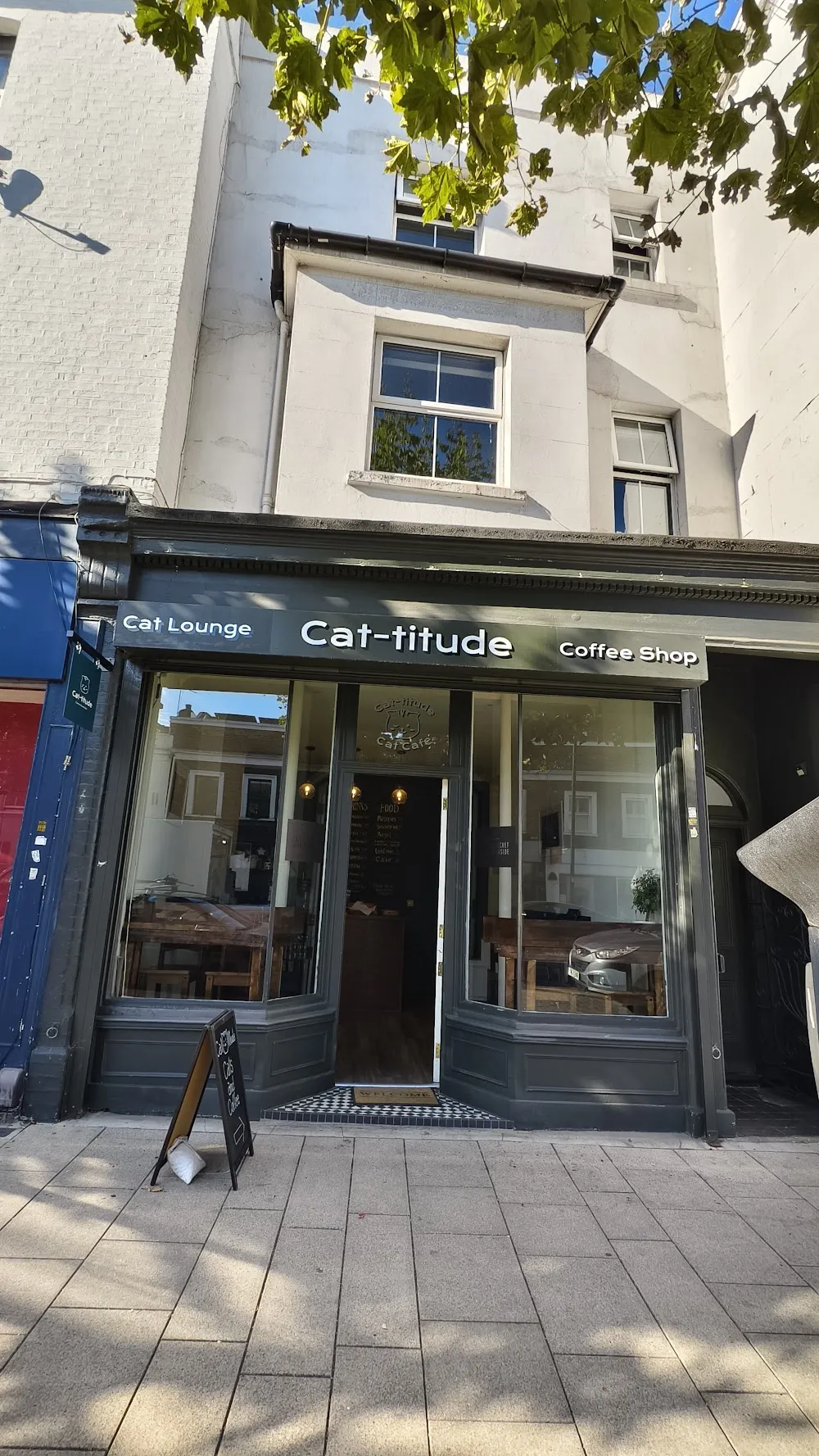 Cat-titude Cat Cafe cat cafe in London - interior