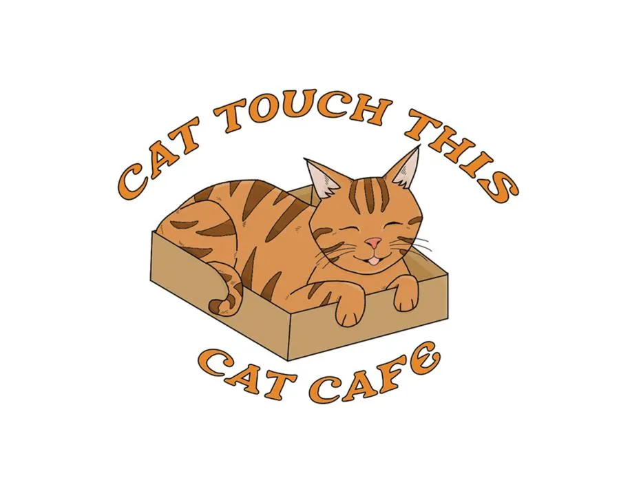 Cat Touch This, Cat Cafe cat cafe in Fresno - interior