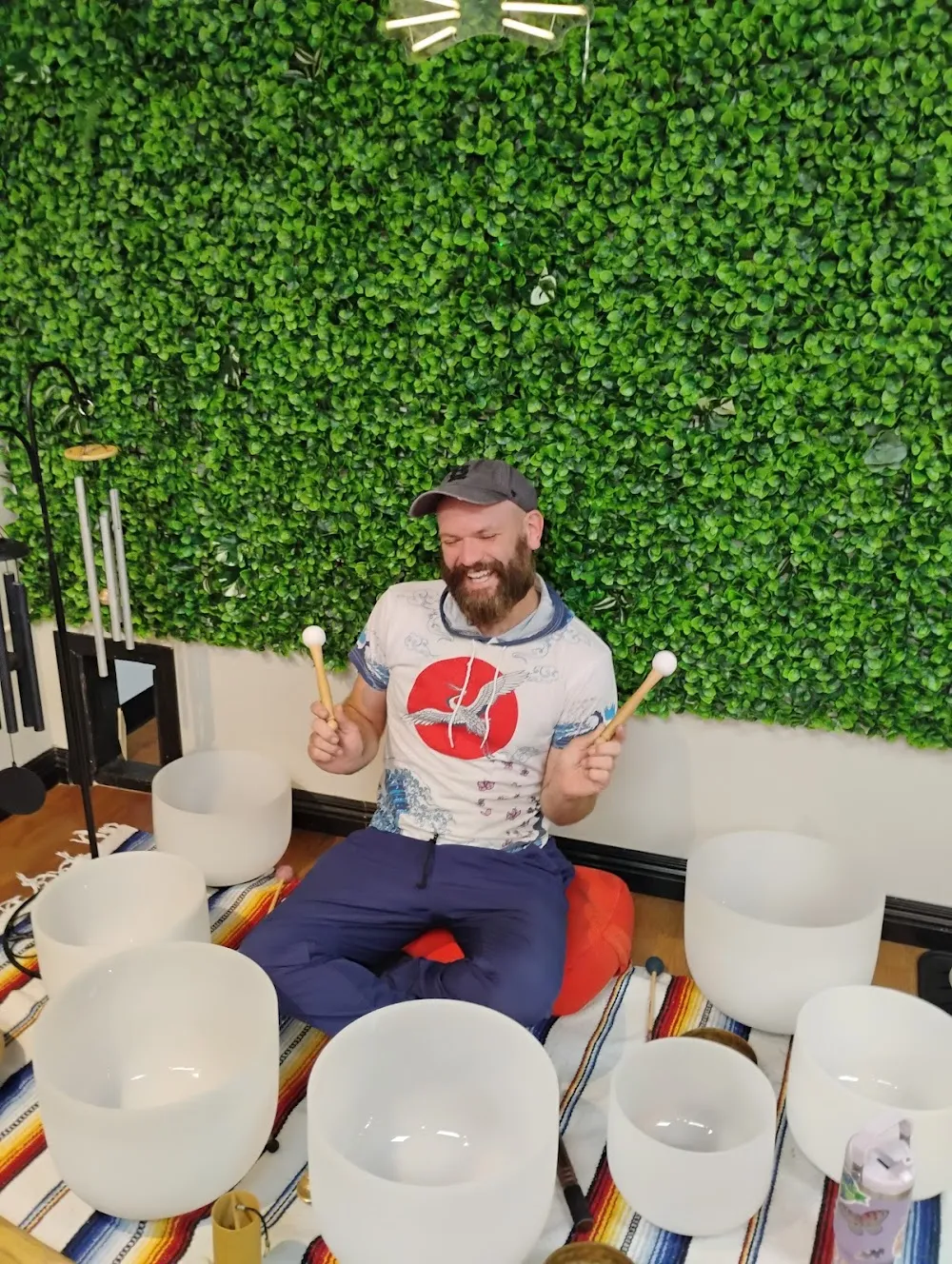 Cat Zen Cafe and Lounge cat cafe in Saint Charles - atmosphere