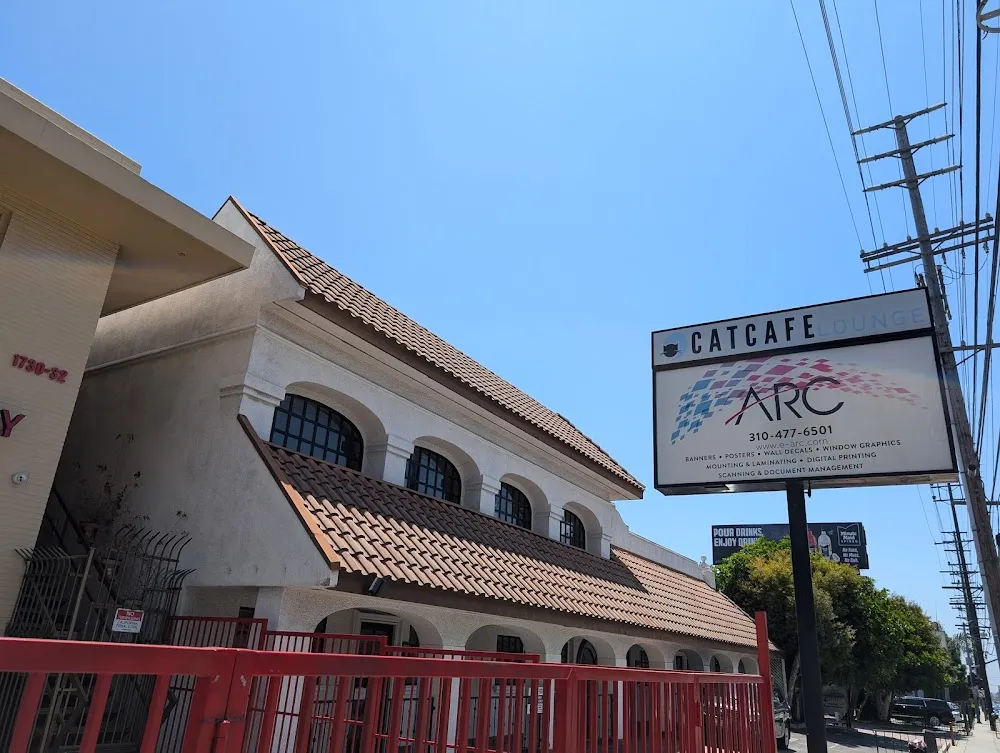 CatCafe Lounge | Cats + Kittens + Catio cat cafe in Los Angeles - interior