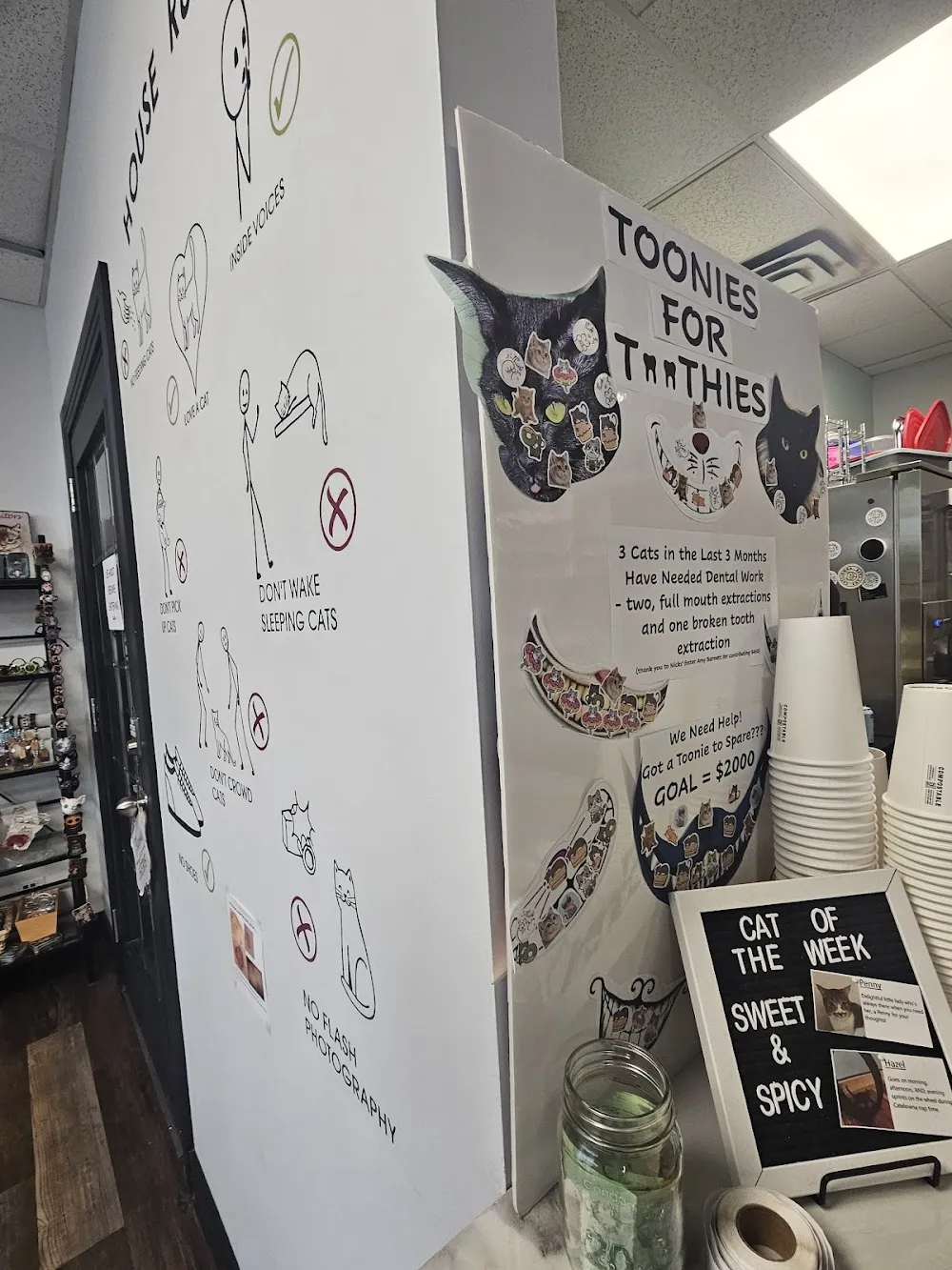 Catelowna Cat Cafe cat cafe in Kelowna - atmosphere