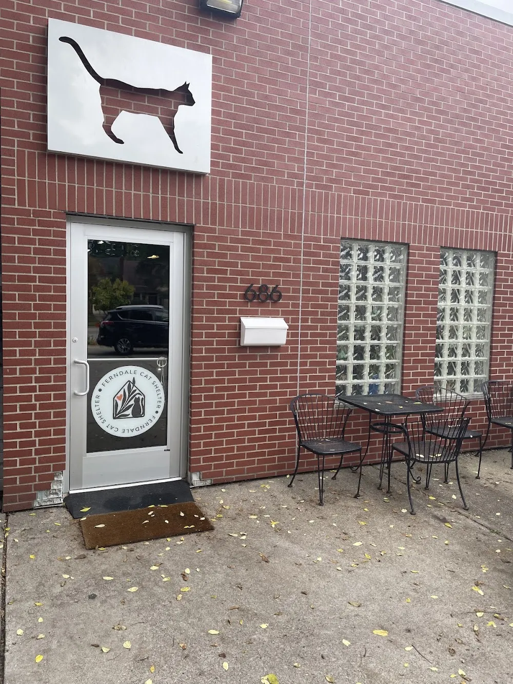 Catfé Lounge cat cafe in Ferndale - interior