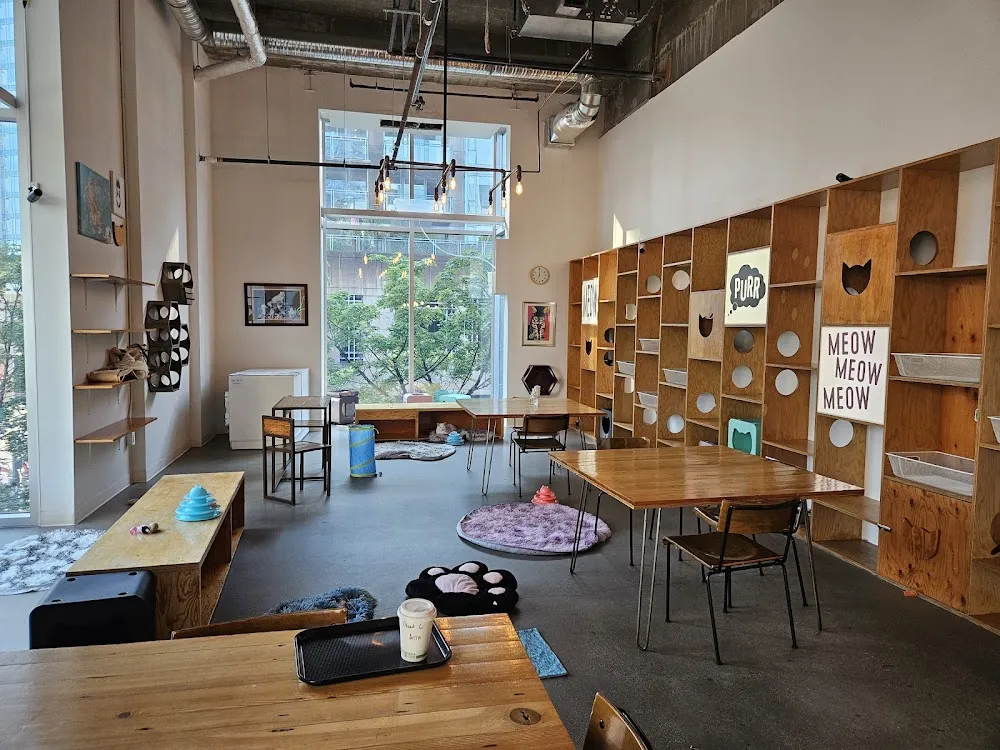 Catfe cat cafe in Vancouver - interior