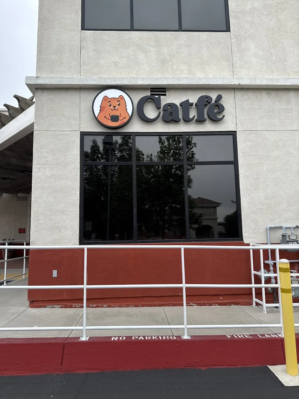 Catfe cat cafe in Santa Clarita - interior