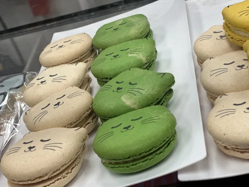 Catffeinated cat cafe in Puyallup - cats