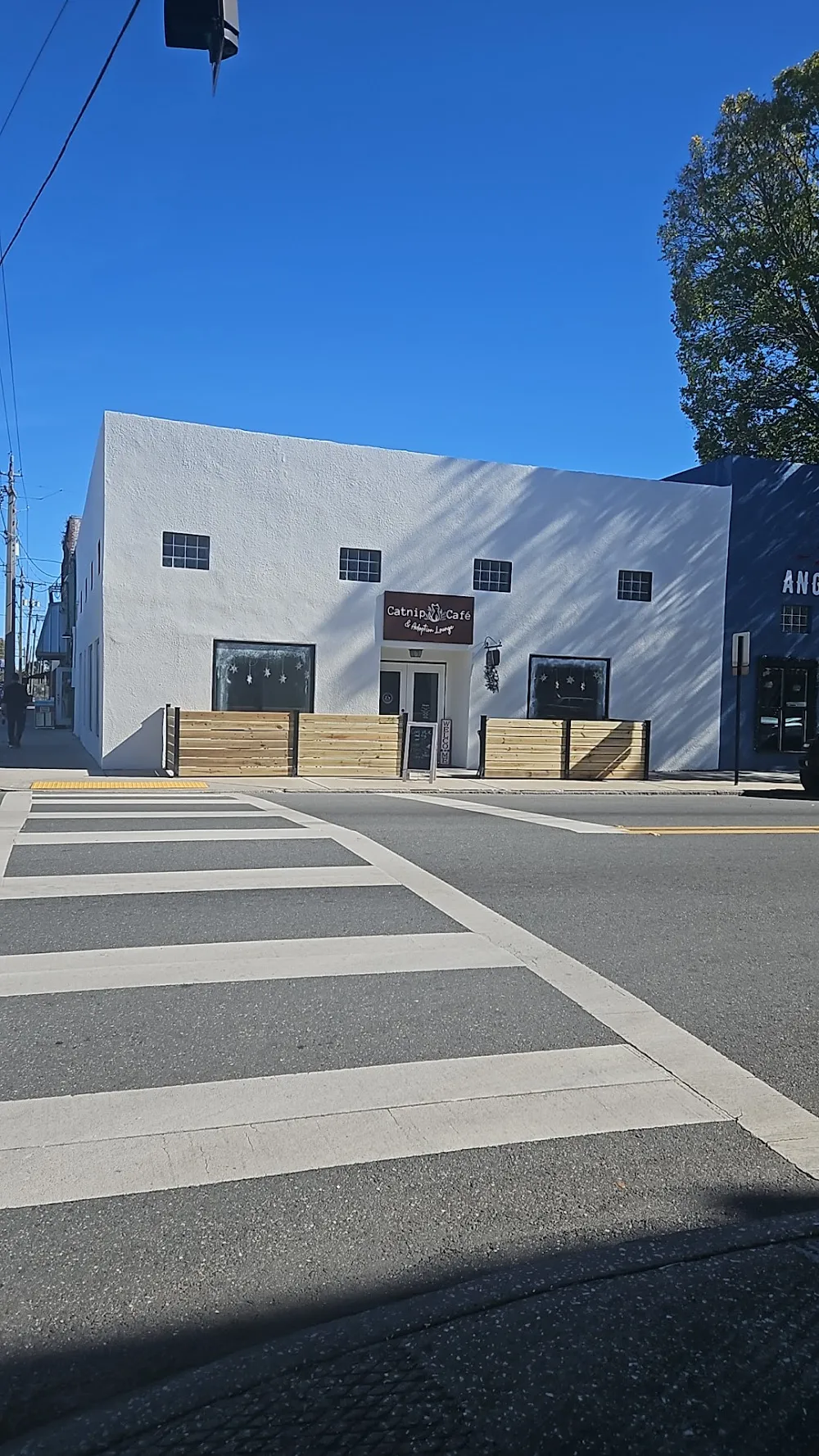 Catnip Kitty Rescue - cat cafe in Plant City