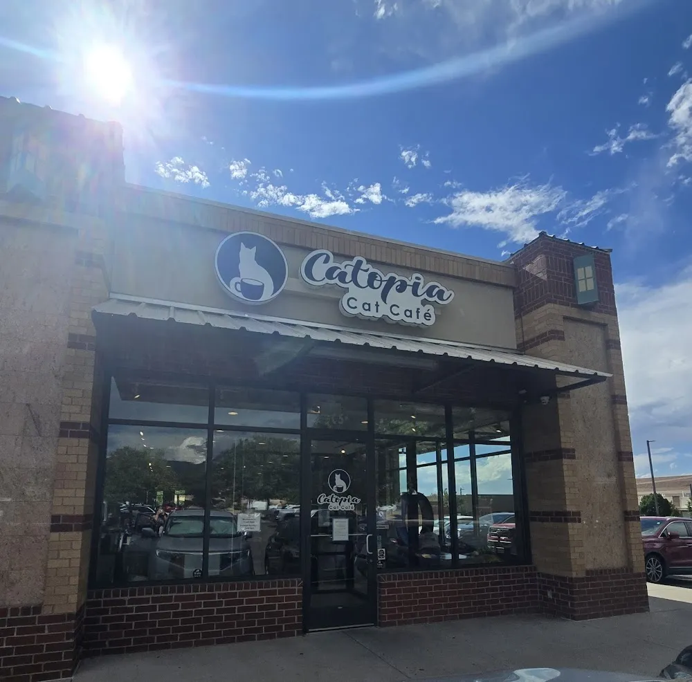 Catopia Cat Cafe cat cafe in Albuquerque - atmosphere