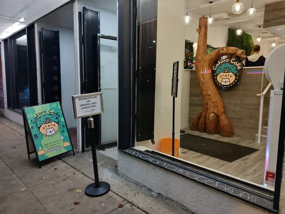 Catoro Cafe cat cafe in Vancouver - interior