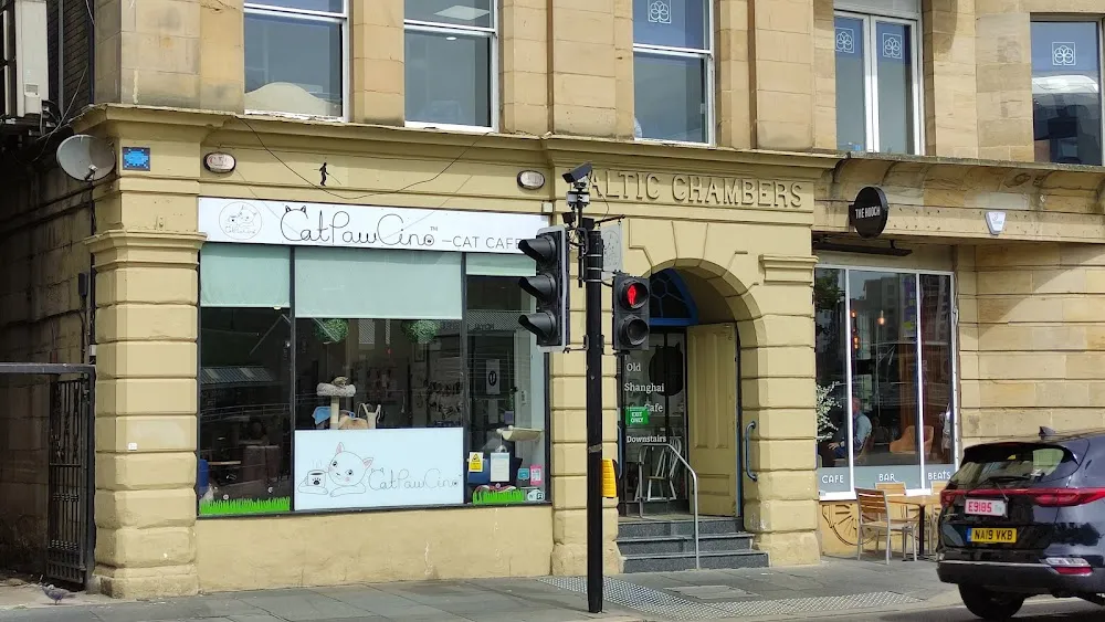 CatPawCino Cat Cafe cat cafe in Newcastle upon Tyne - interior