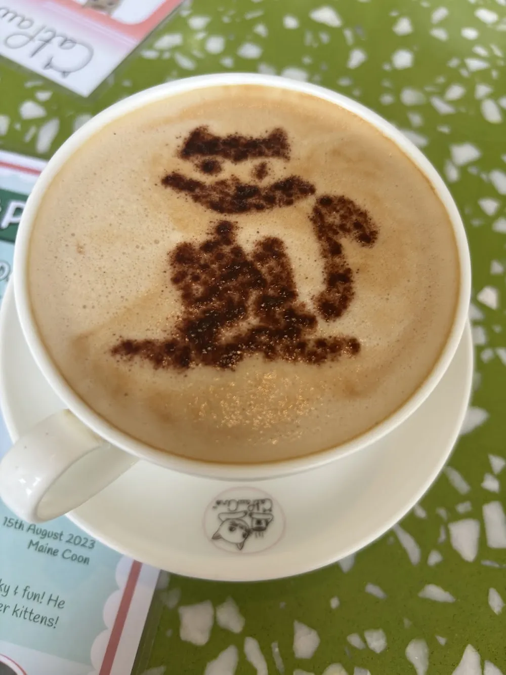 CatPawCino Cat Cafe cat cafe in Newcastle upon Tyne - atmosphere