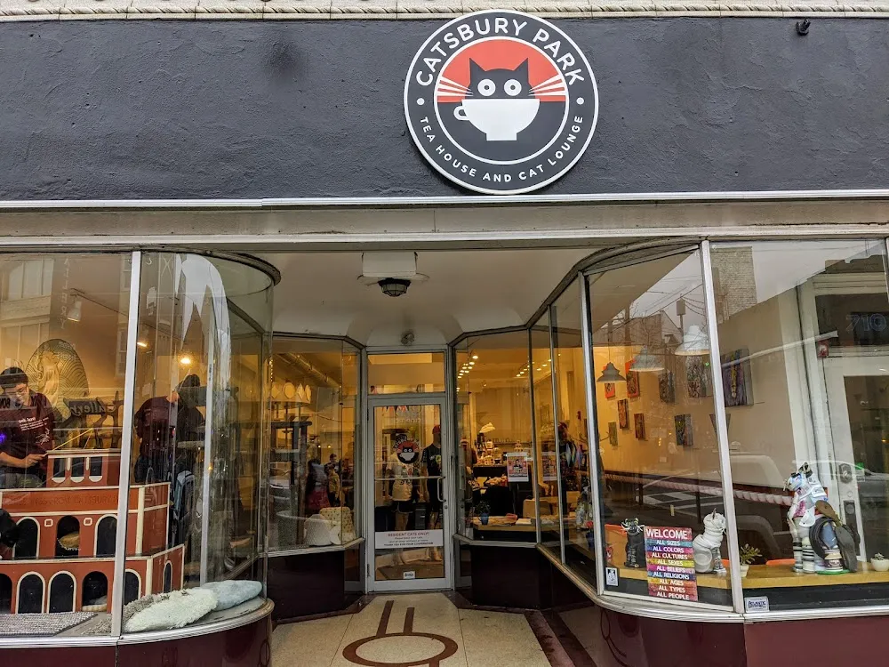 Catsbury Park cat cafe in Asbury Park - interior