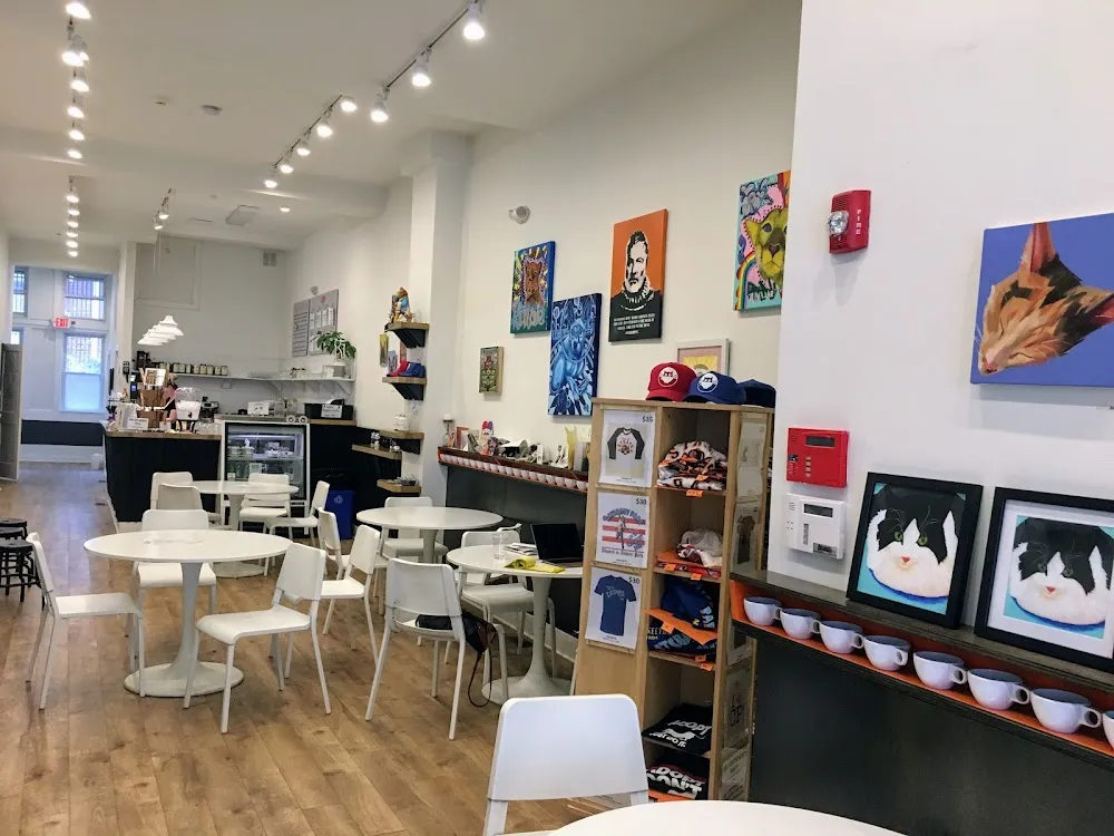 Catsbury Park cat cafe in Asbury Park - cats