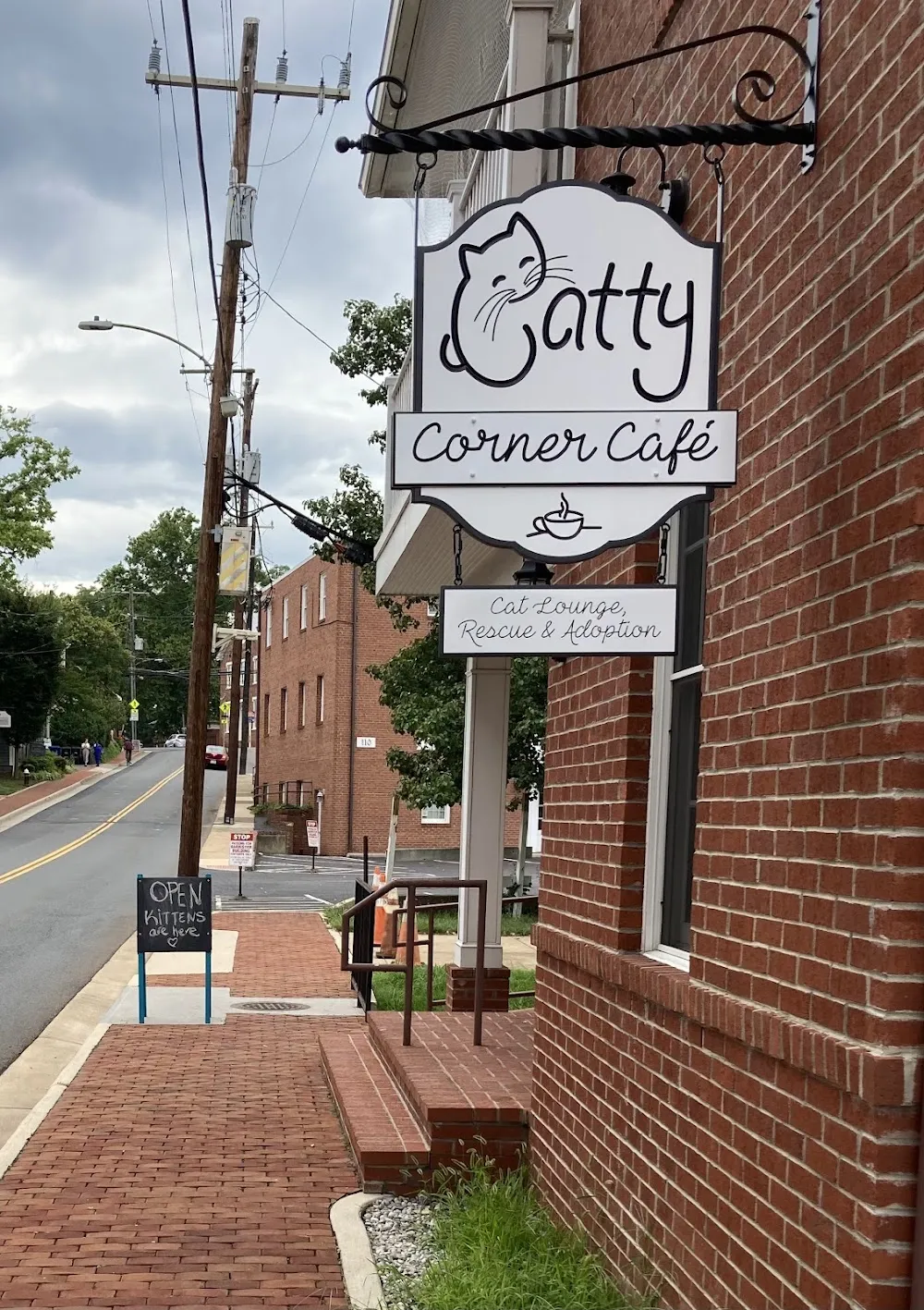 Catty Corner Cafe cat cafe in Leesburg - cats