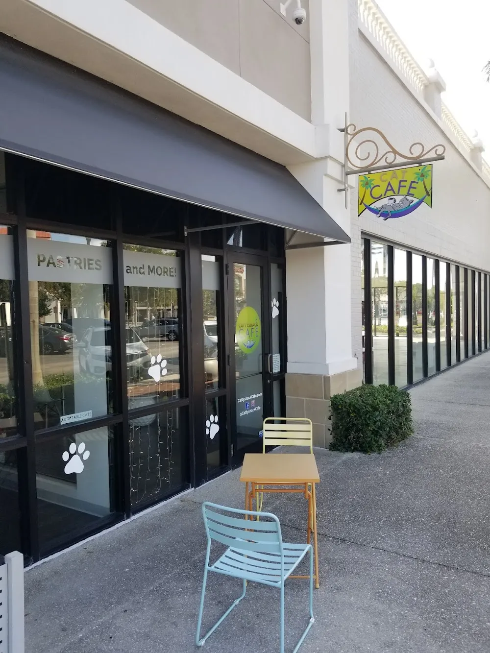 Cattyshack Cat Cafe cat cafe in Fort Myers - interior