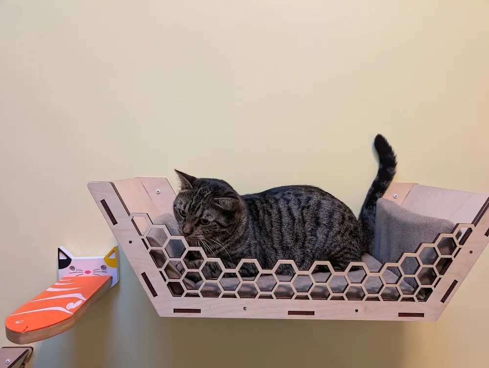 Charlie's Cat Cafe cat cafe in Monroe - cats