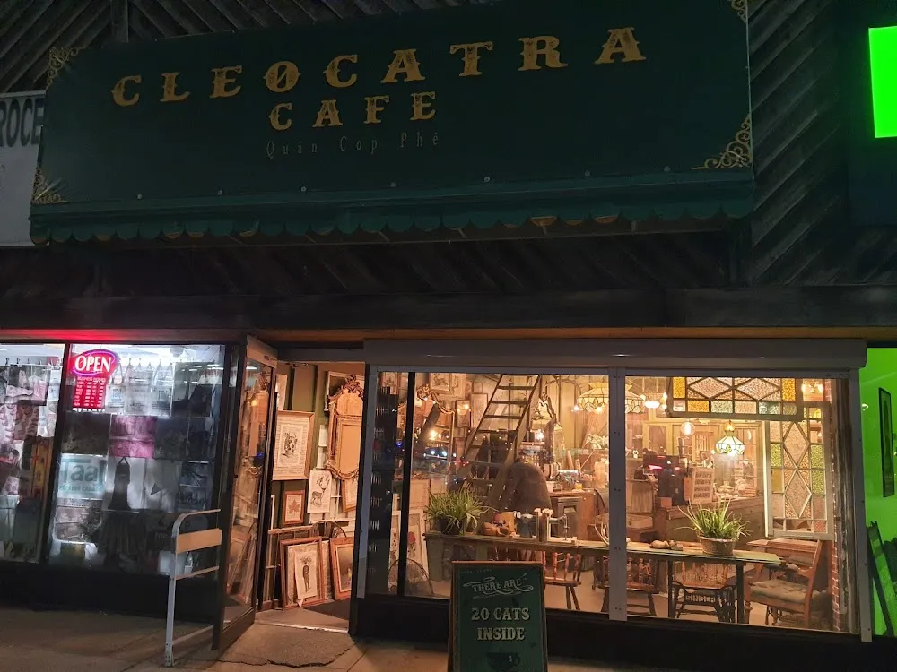 Cleocatra Café - Cat Cafe/ Portage Ave cat cafe in Winnipeg - interior