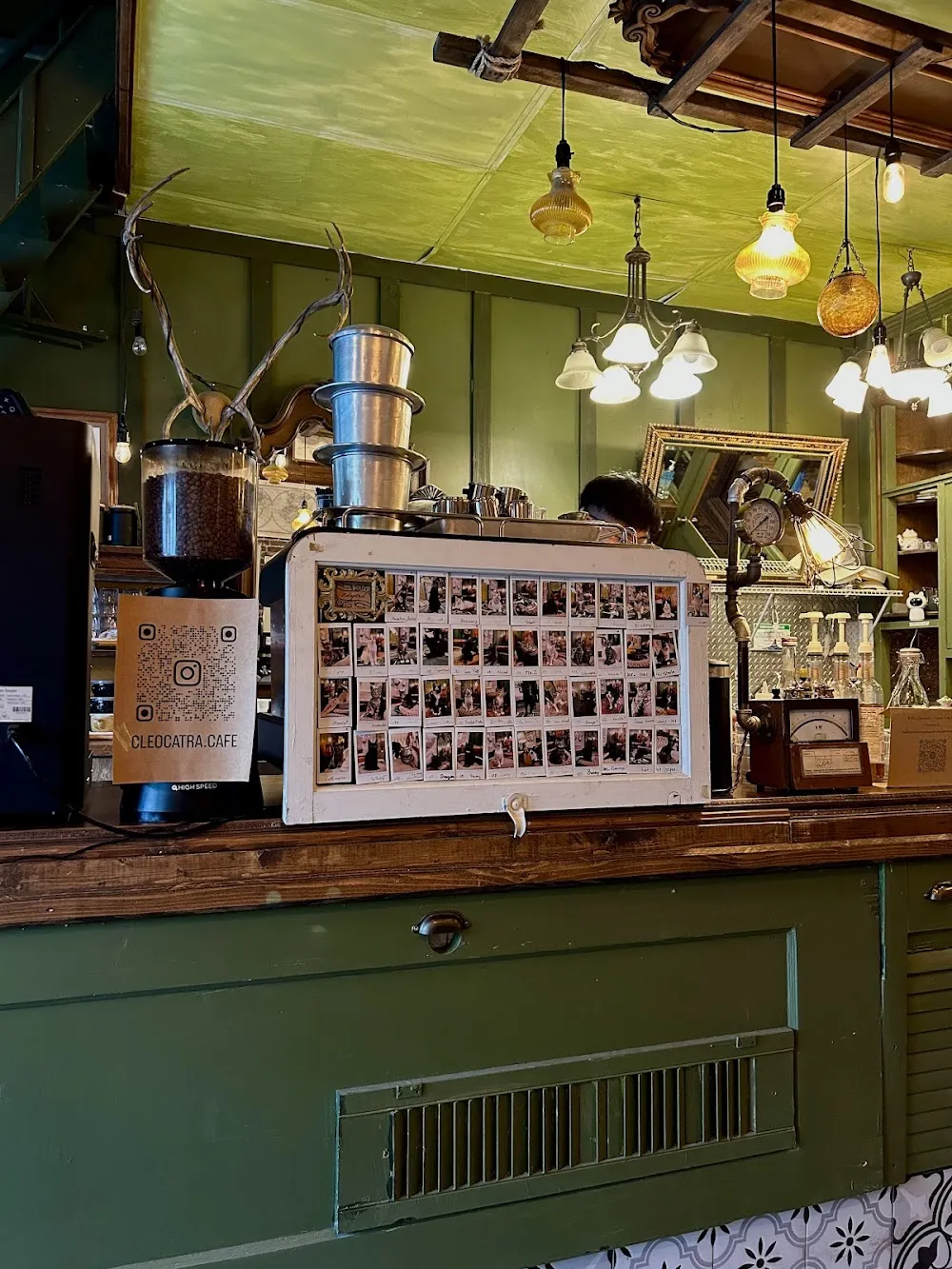 Cleocatra Café - Cat Cafe/ Portage Ave cat cafe in Winnipeg - cats