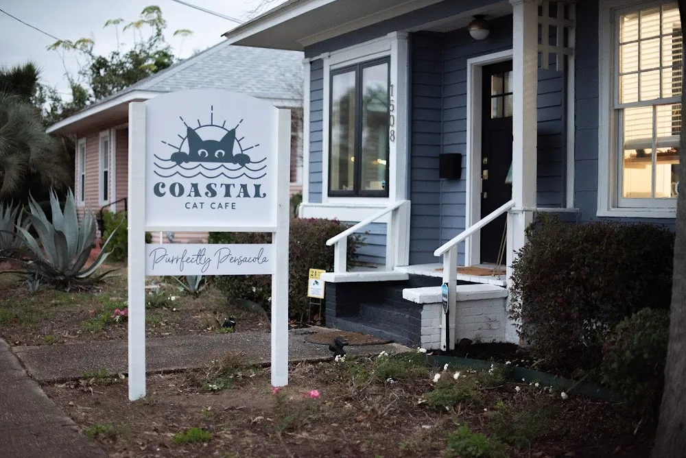 Coastal Cat Cafe cat cafe in Pensacola - interior