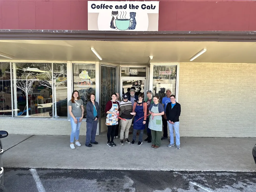 Coffee and the Cats cat cafe in Rapid City - interior