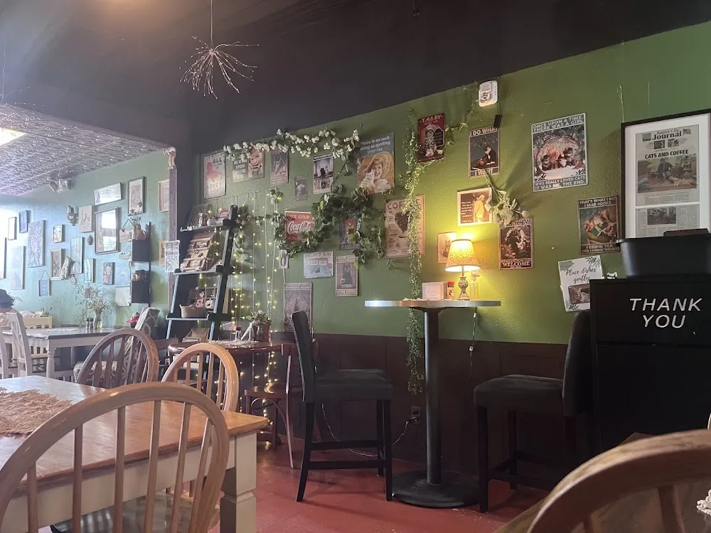 Coffee and the Cats cat cafe in Rapid City - atmosphere