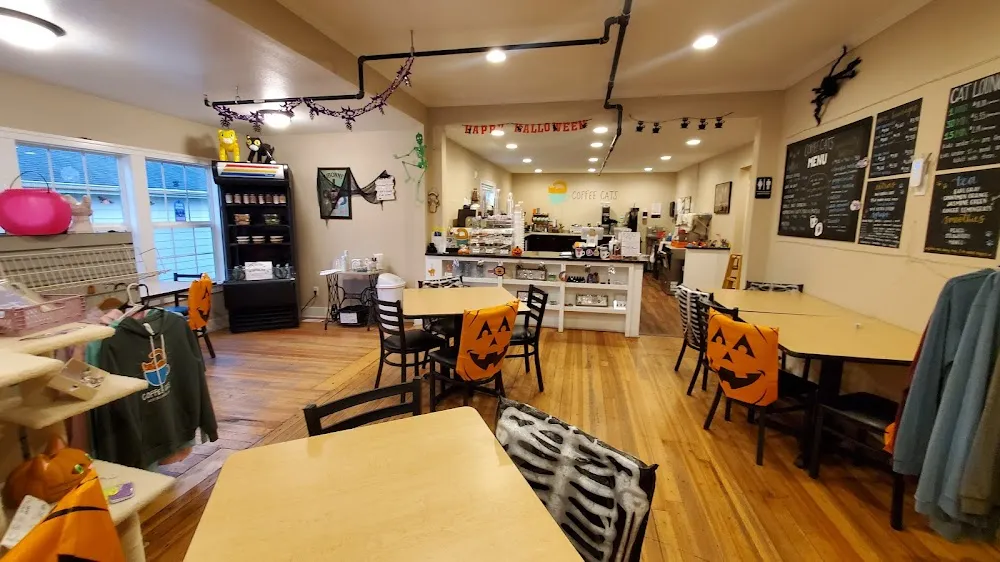 Coffee Cats Cafe cat cafe in West Des Moines - atmosphere