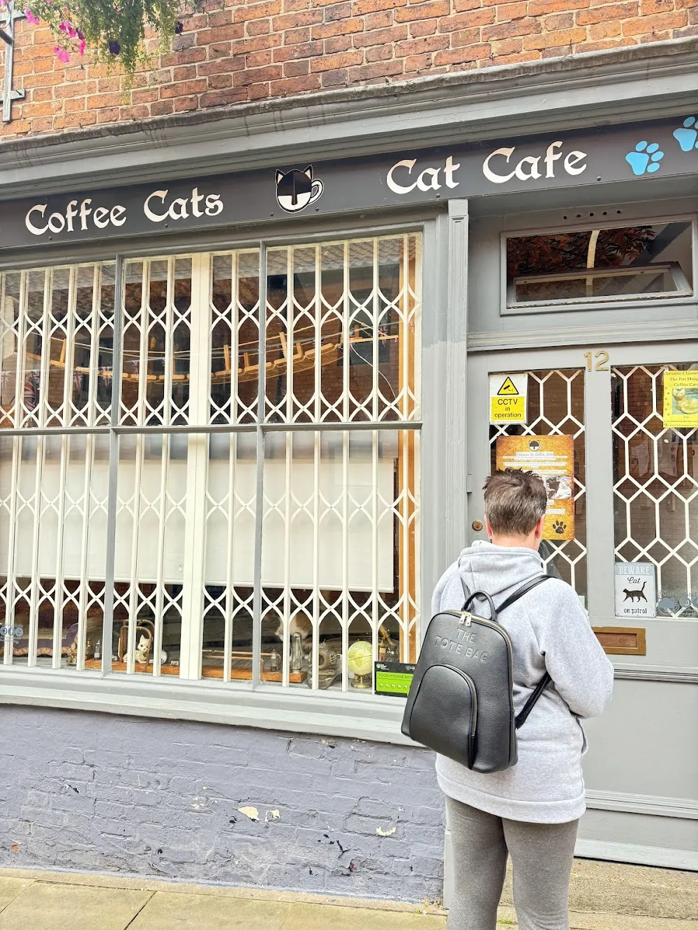 Coffee Cats cat cafe in Lincoln - interior