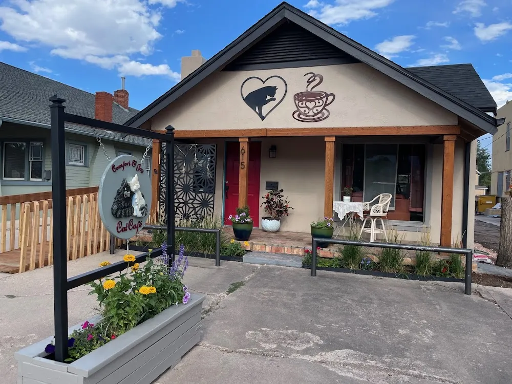 Comfort & Joy Cat Cafe cat cafe in Colorado Springs - cats