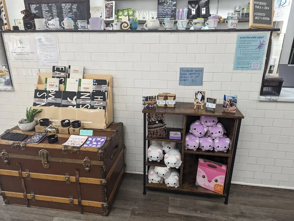 Constellation Cat Cafe cat cafe in Lansing - interior