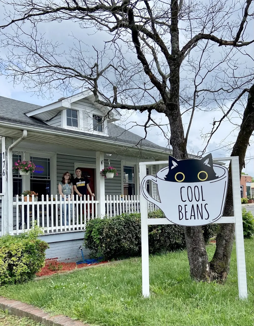 Cool Beans Cat Cafe cat cafe in Gastonia - atmosphere