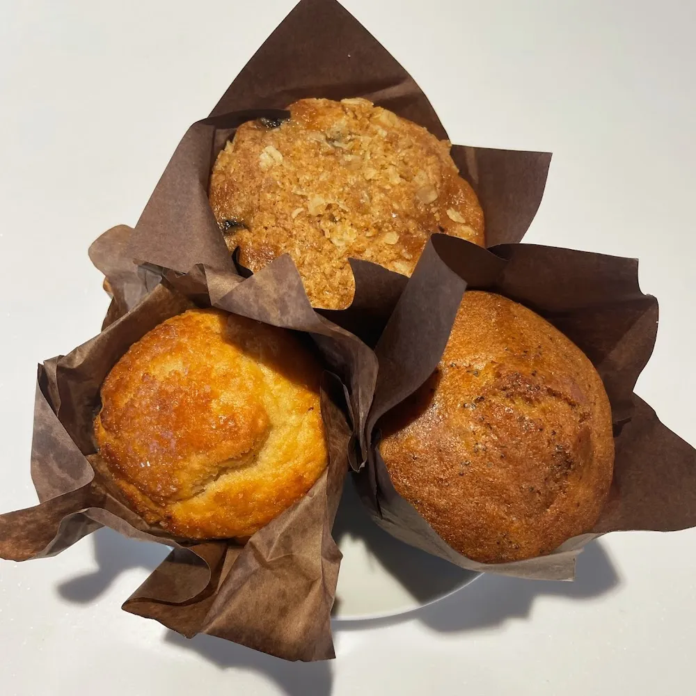 Crossroads Café cat cafe in Nashville - cats