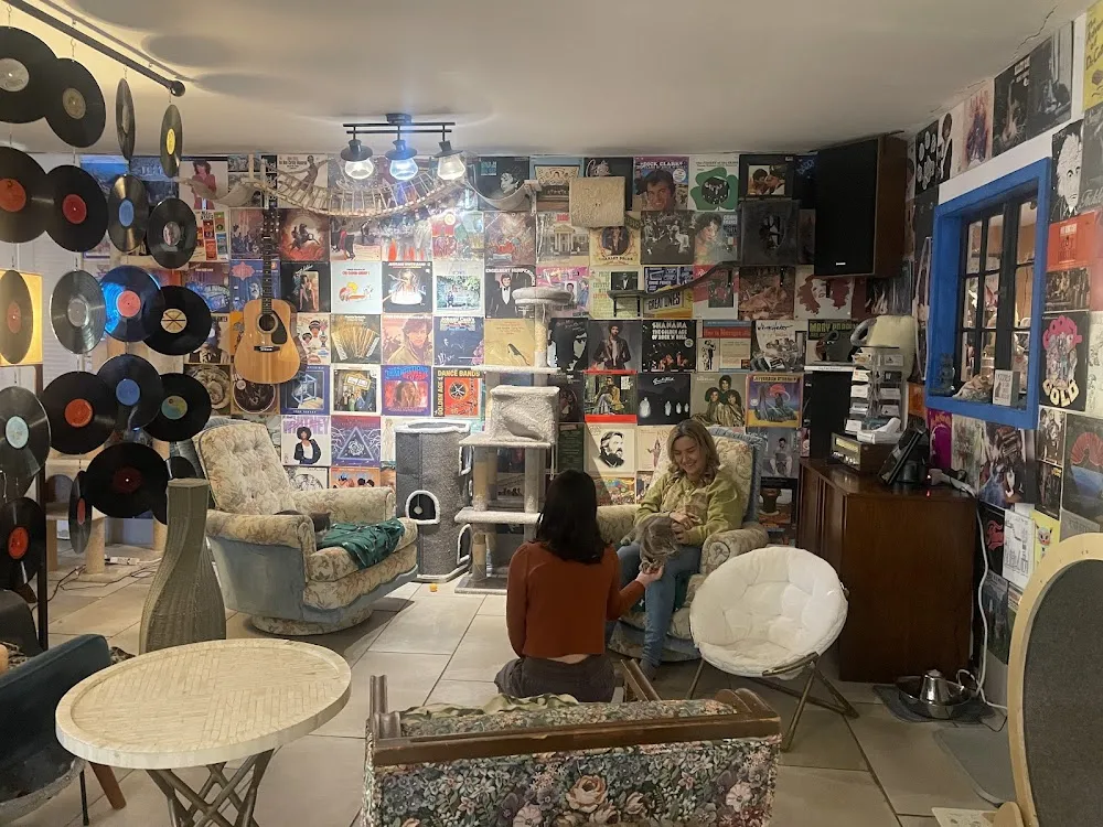 Cups and Claws Cat Cafe and Lounge cat cafe in Newport News - atmosphere