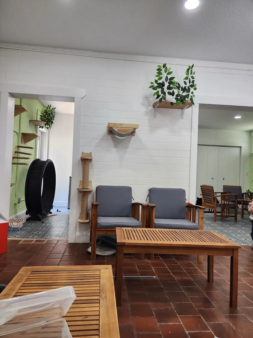 DeLand Cat Cafe cat cafe in DeLand - interior