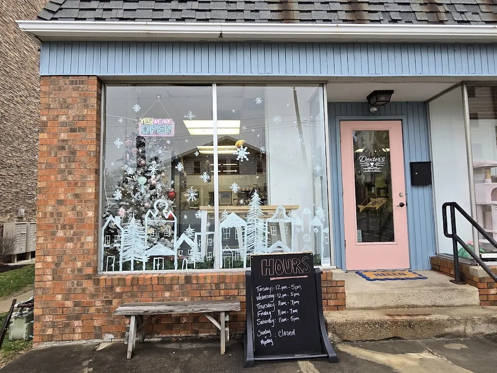 Dexter's Cat Cafe cat cafe in Indiana - interior