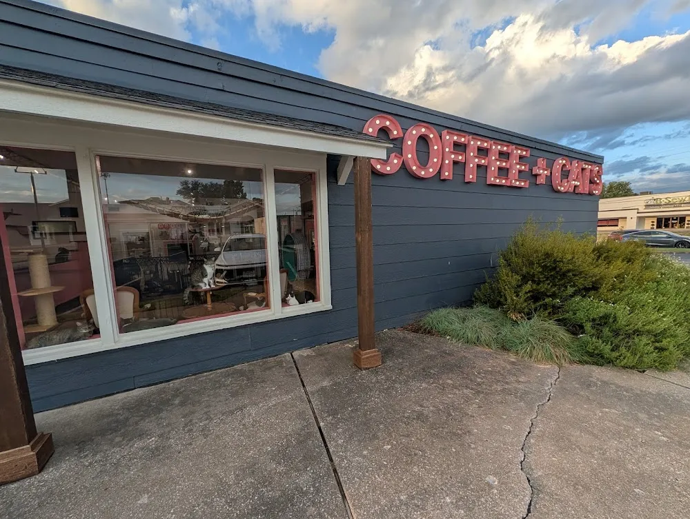 don’t stress meowt - Cat Cafe cat cafe in Tulsa - interior