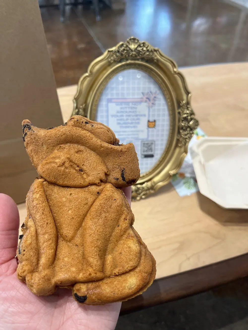 don’t stress meowt - Cat Cafe cat cafe in Tulsa - cats