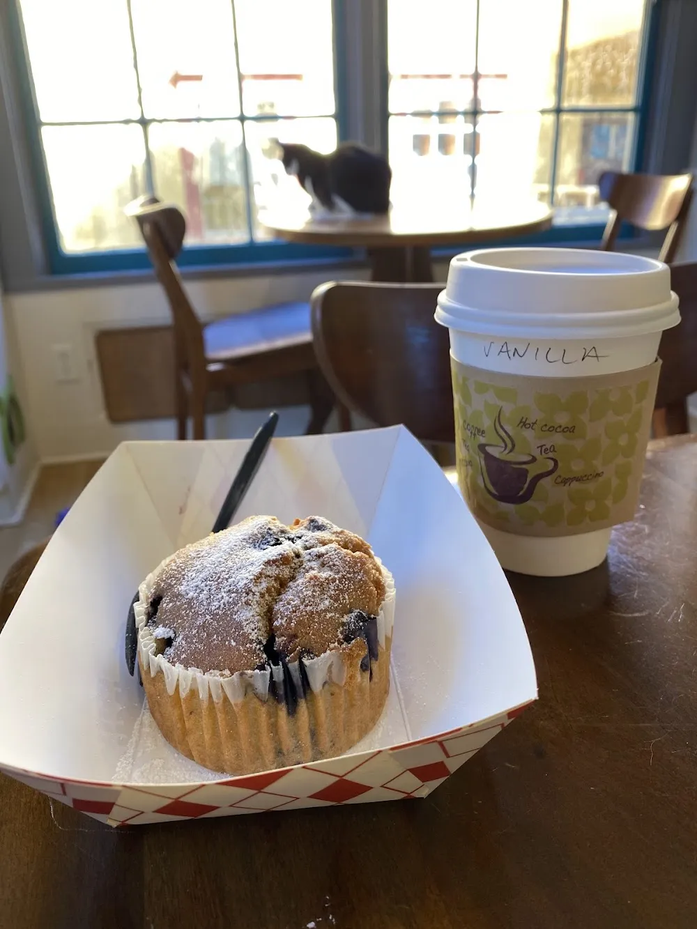 El Gato Coffeehouse cat cafe in Houston - cats